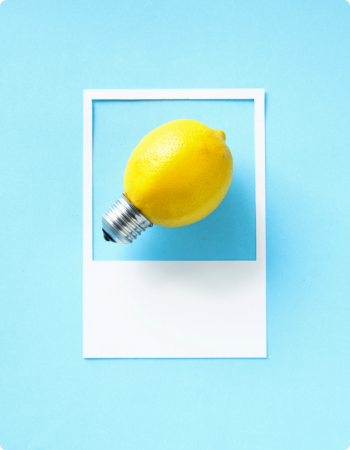 gallery grid image